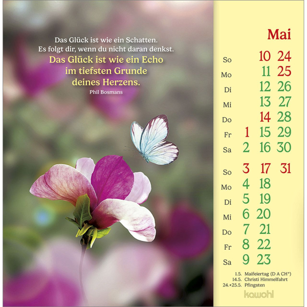 Phil Bosmans - Postkarten-Kalender 2026 Phil Bosmans - Postkarten-Kalender 2026