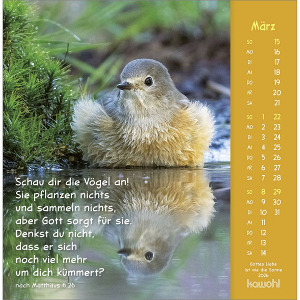 Kalender-Gottes Liebe ist wie die Sonne 2026 Kalender-Gottes Liebe ist wie die Sonne 2026