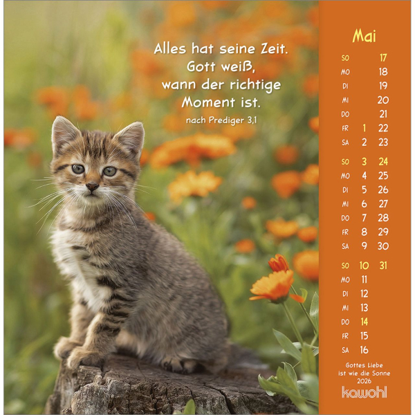 Kalender-Gottes Liebe ist wie die Sonne 2026 Kalender-Gottes Liebe ist wie die Sonne 2026