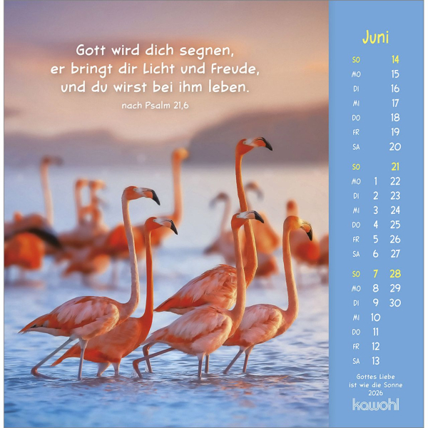 Kalender-Gottes Liebe ist wie die Sonne 2026 Kalender-Gottes Liebe ist wie die Sonne 2026