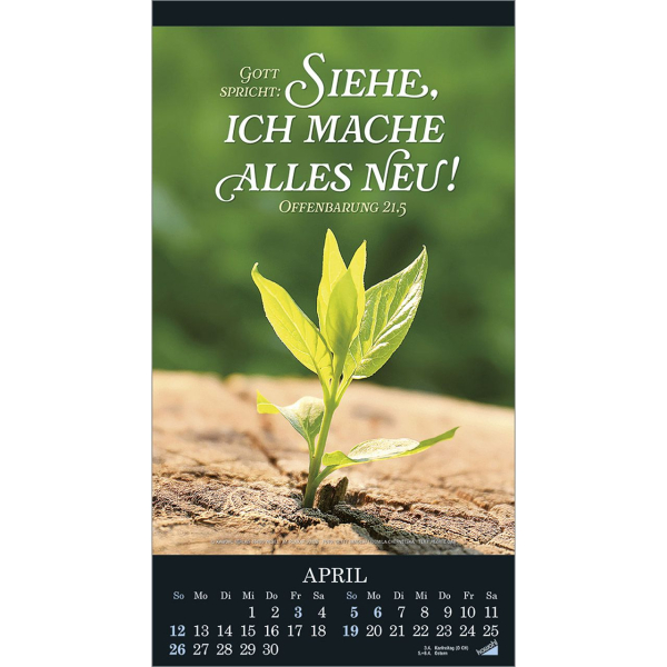 Kalender-Die Wunder deiner Werke 2026 Kalender-Die Wunder deiner Werke 2026