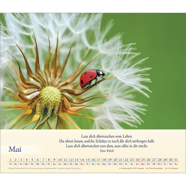 Kalender-Balsam für deine Seele 2026 Kalender-Balsam für deine Seele 2026