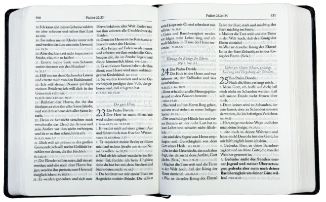 Die Bibel Martin Luther 1912 - Großdruck