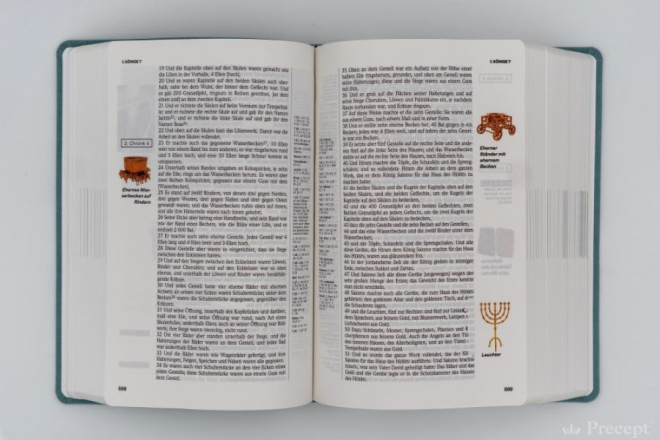 Die Neue Induktive Studienbibel - Schlachter (Bibel - PU Leder)