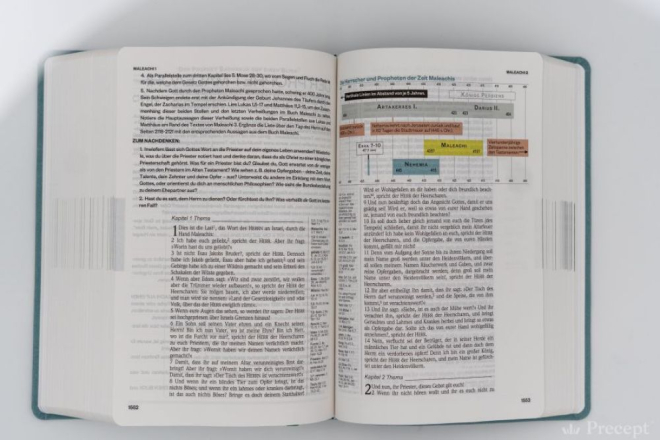 Die Neue Induktive Studienbibel - Schlachter (Bibel - PU Leder)