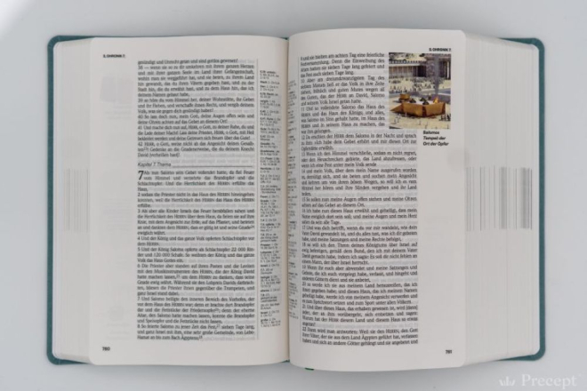 Die Neue Induktive Studienbibel - Schlachter (Bibel - PU Leder)