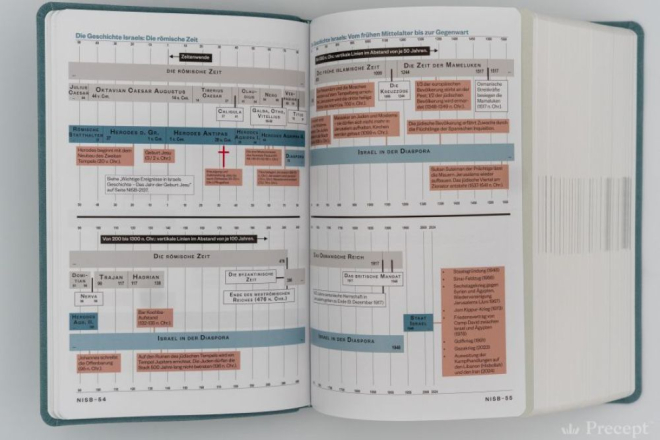 Die Neue Induktive Studienbibel - Schlachter (Bibel - PU Leder)