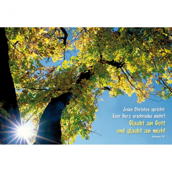 Bei uns ist echt was los :-) - Aufstellbuch