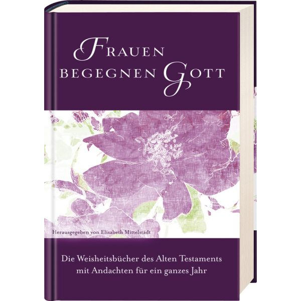 Elisabeth Mittelstädt (Hrsg.)-Frauen begegnen Gott - Altes Testament