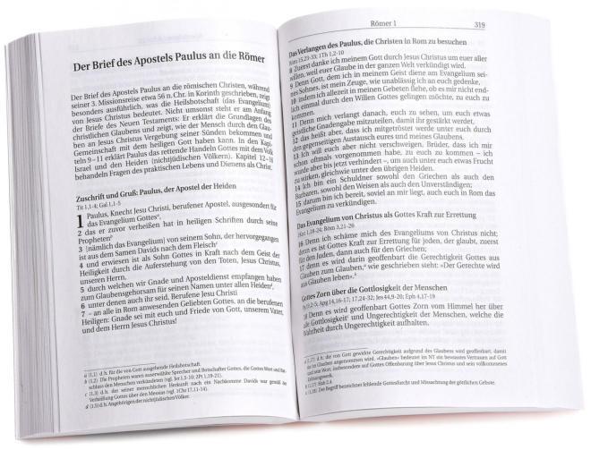 Schlachter 2000 - Neues Testament und Psalmen