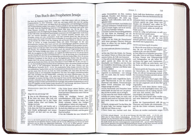 Schlachter 2000 Bibel - Taschenausgabe (Softcover, grau/braun, Goldschnitt)